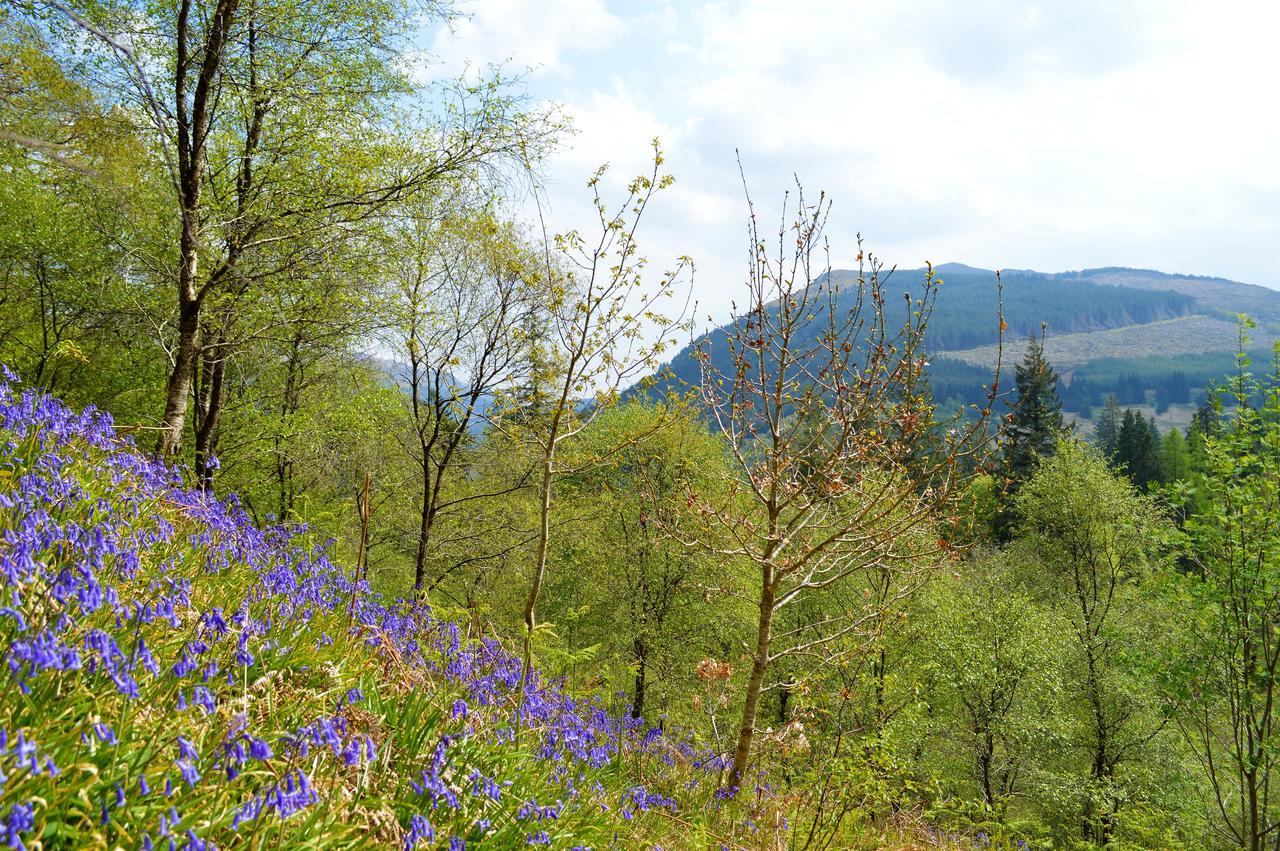 Glenbranter Cottage Strachur Dış mekan fotoğraf